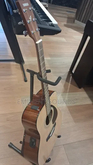 Yamaha Electro Acoustic(fx310a Ii)