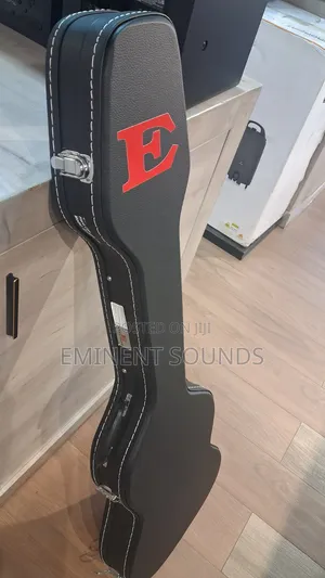Explorer Bass Guitar Flight Case