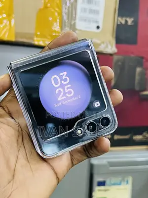 Samsung Galaxy Z Flip 5 256 GB Gray