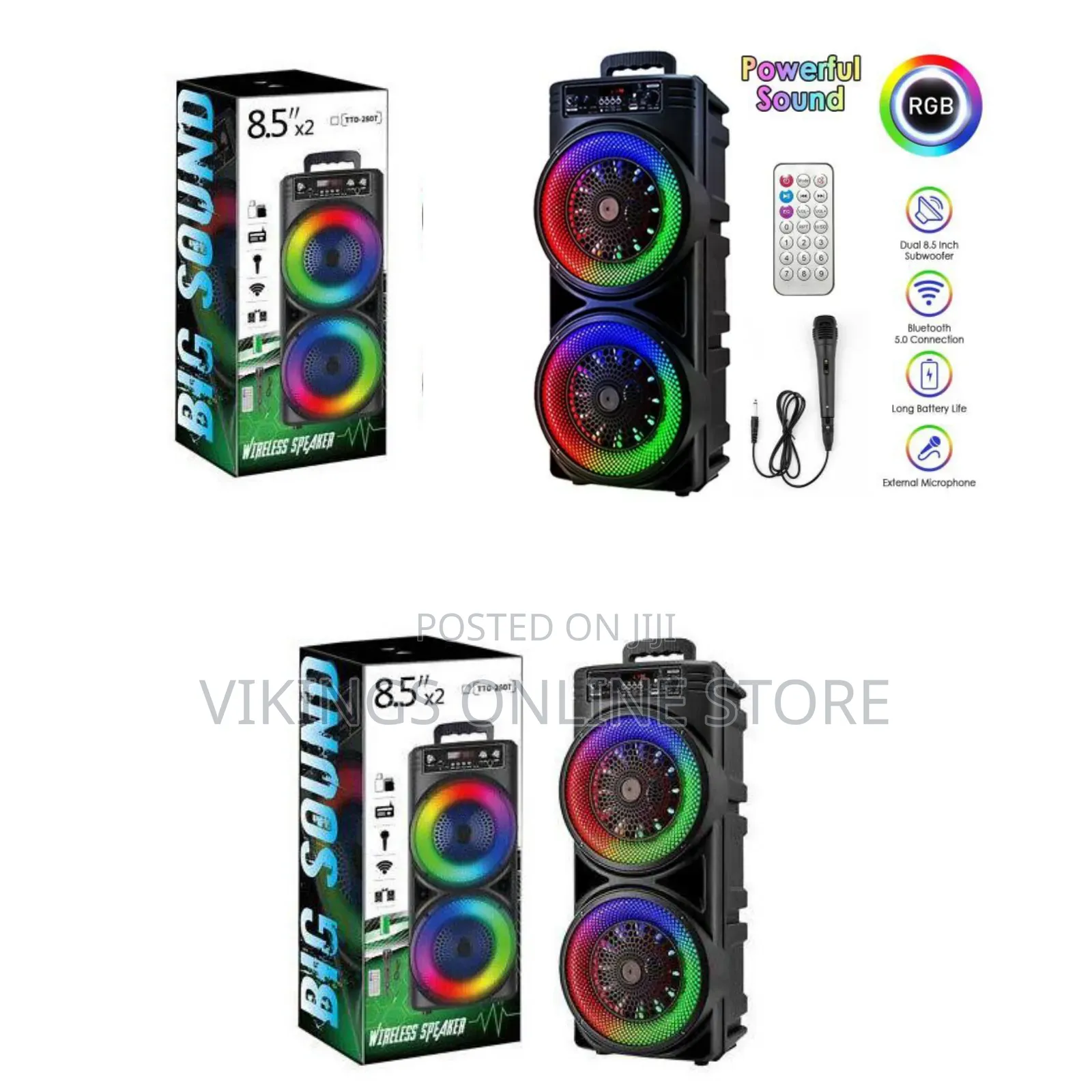 TTD-2807 Wireless Karaoke Speaker