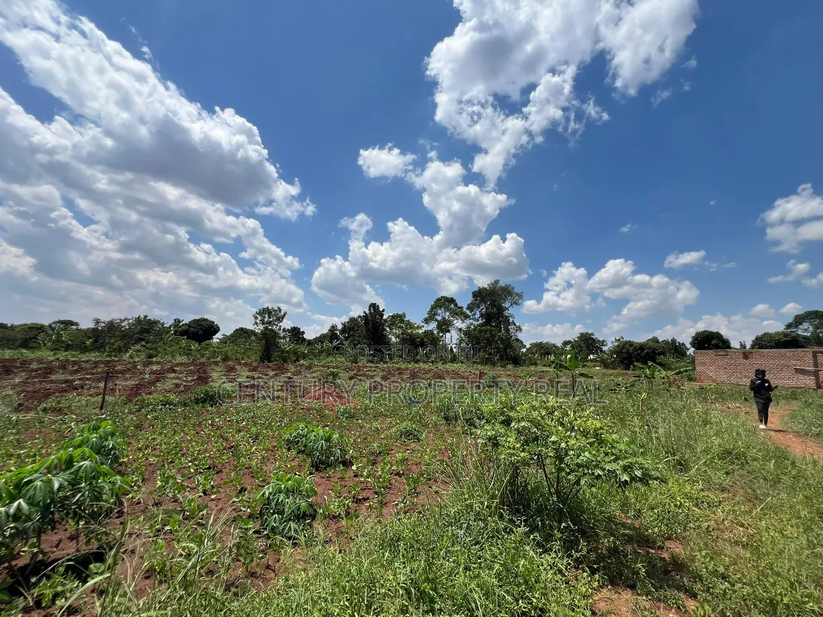 50 by 100 at 2m in Kayunga Nkokojeru
