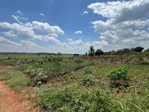 50 by 100 at 2m in Kayunga Nkokojeru