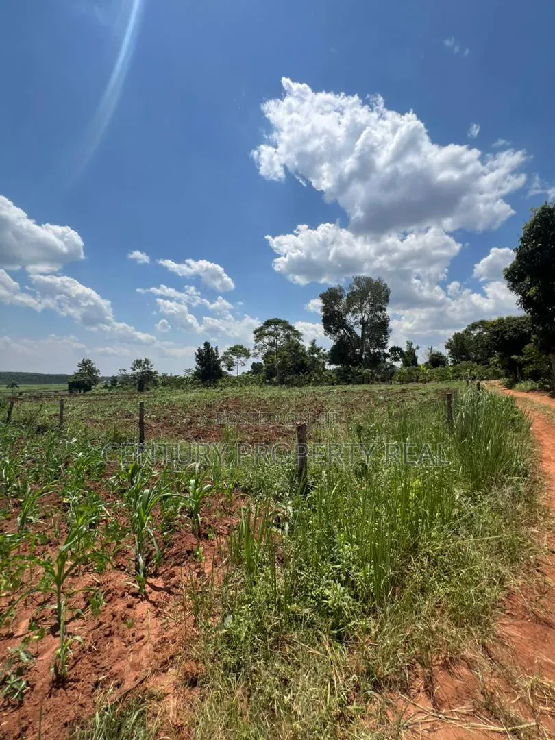 50 by 100 at 2m in Kayunga Nkokojeru