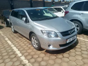 Toyota Corolla Fielder 2010 Silver
