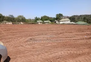 Prime Plots for Sale at Namusera~Wakiso Tarmac Divine Land Estate.