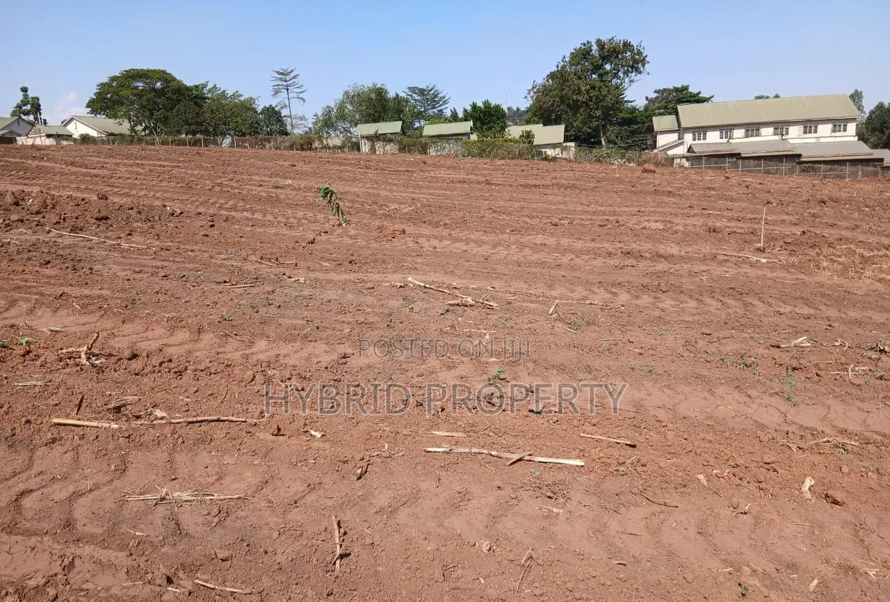Prime Plots for Sale at Namusera~Wakiso Tarmac Divine Land Estate.