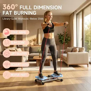 Waist Twister Machine Exercise
