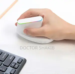 Weibo Ergonomic Vertical Wireless Mouse
