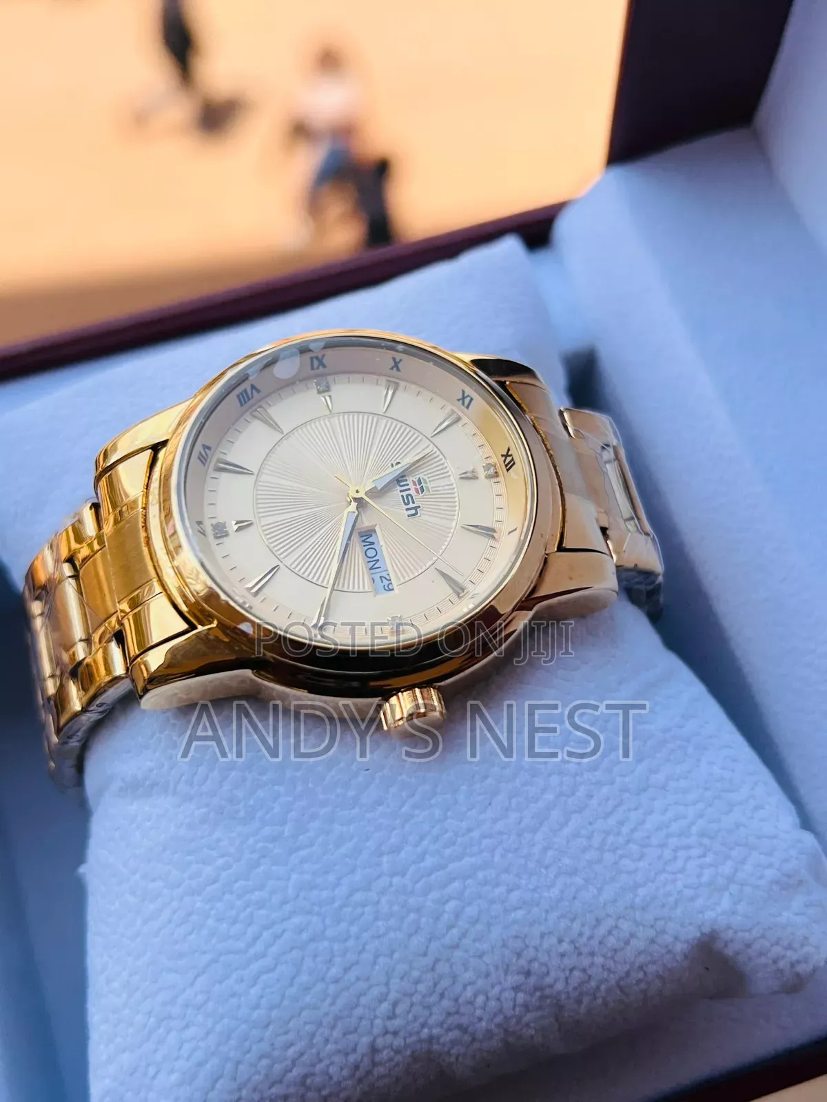 Swish Gentlemen Watch