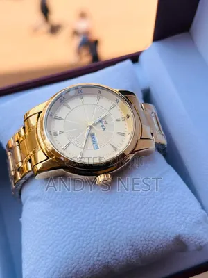 Swish Gentlemen Watch