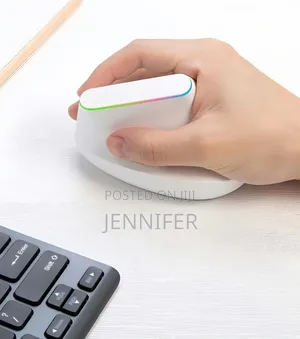 Weibo Ergonomic Vertical Wireless Mouse