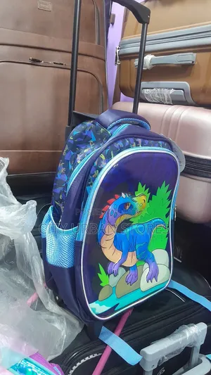 Boys Trory School Bags