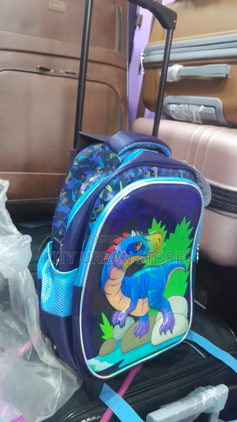 Boys Trory School Bags