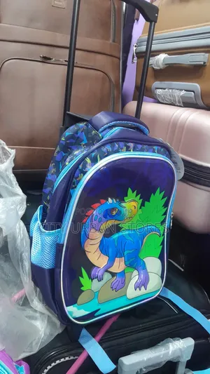 Boys Trory School Bags