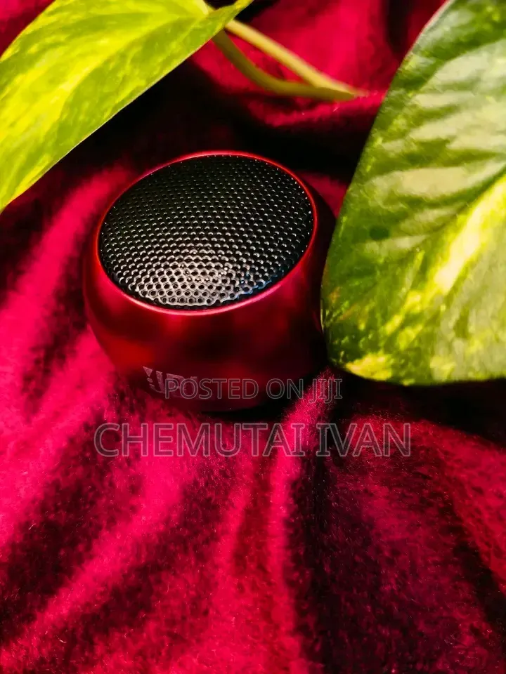 JBL Tiny Speaker 1