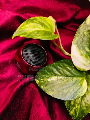 JBL Tiny Speaker 1