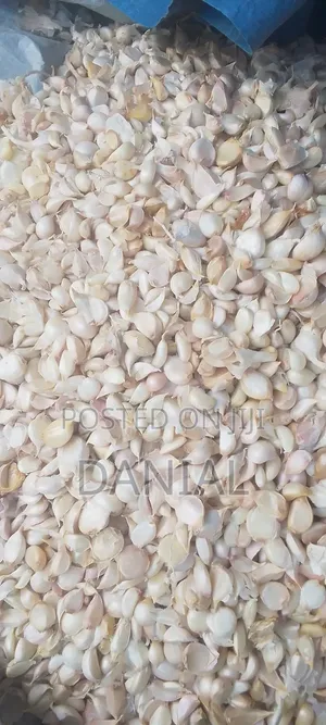 Garlic Uganda