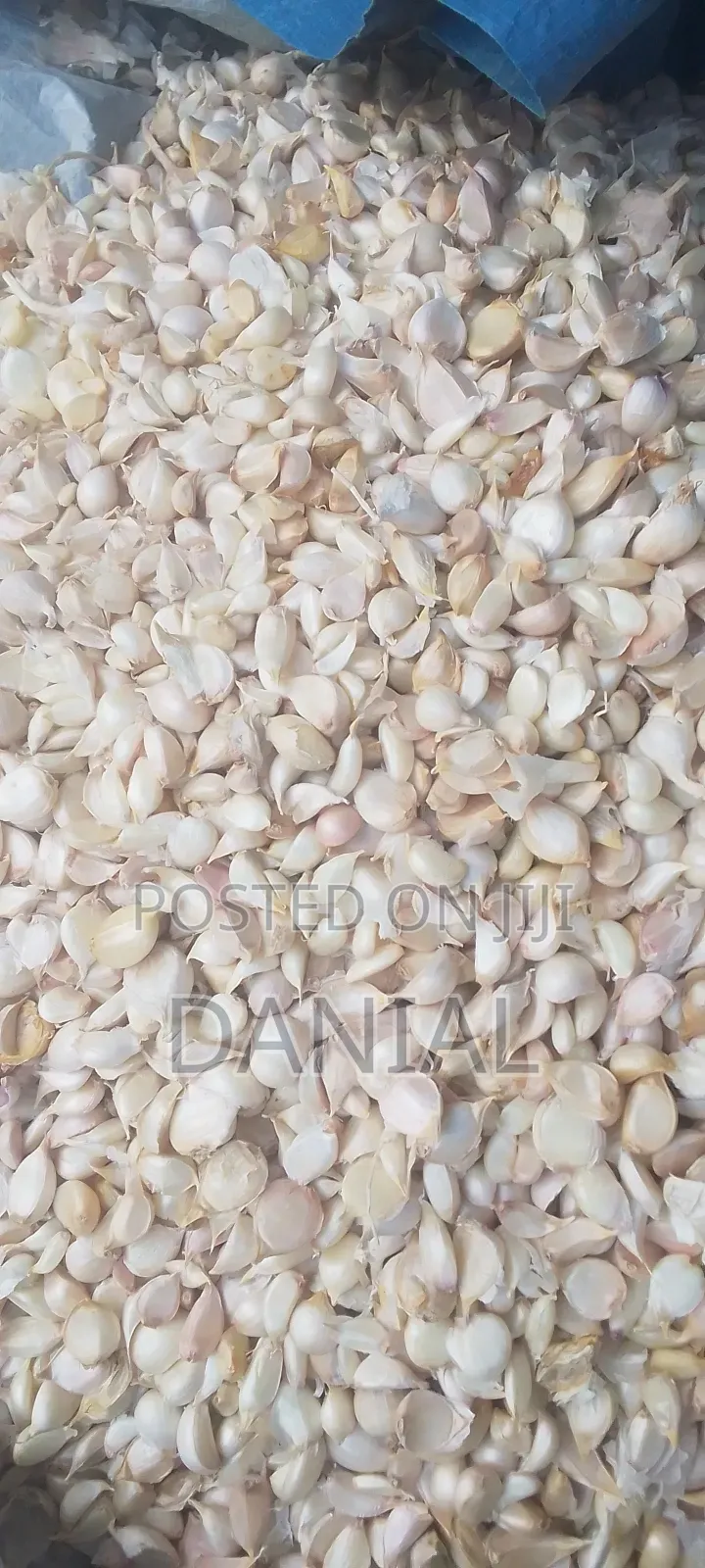 Garlic Uganda