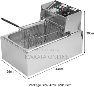 6L Globalstar GS-81A Electric Deep Fryer – 2500W Stainless Steel Fryer