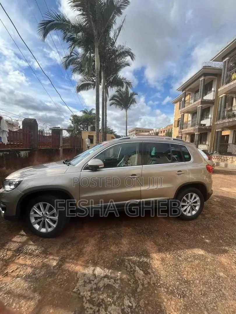 Volkswagen Tiguan S Automatic 2011 Gold