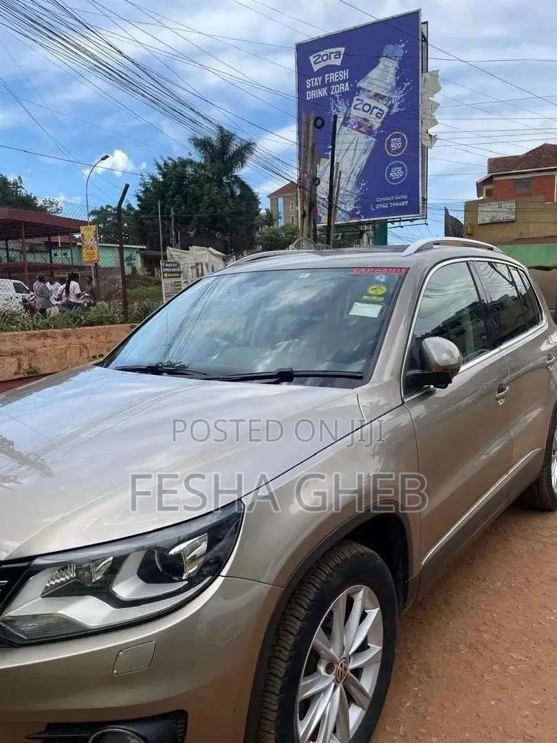 Volkswagen Tiguan S Automatic 2011 Gold