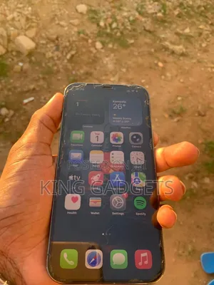 Apple iPhone 12 Pro Max 256 GB Black