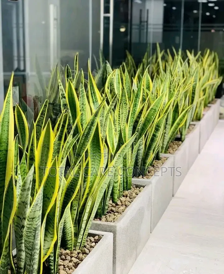 Modern Artificial Flowers Pots With Plants