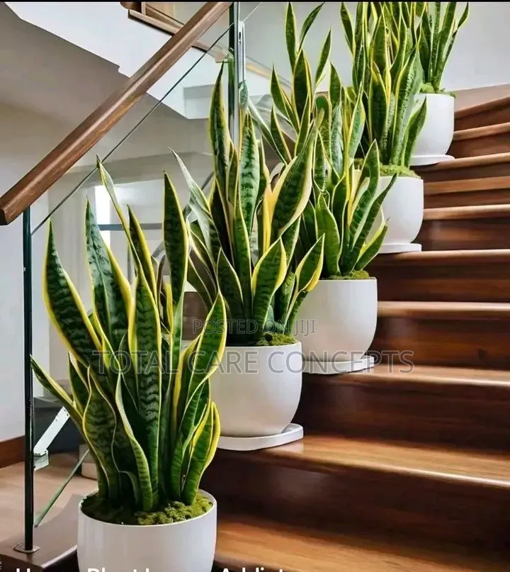 Modern Artificial Flowers Pots With Plants