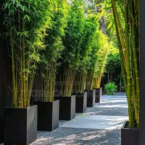 Modern Artificial Flowers Pots With Plants