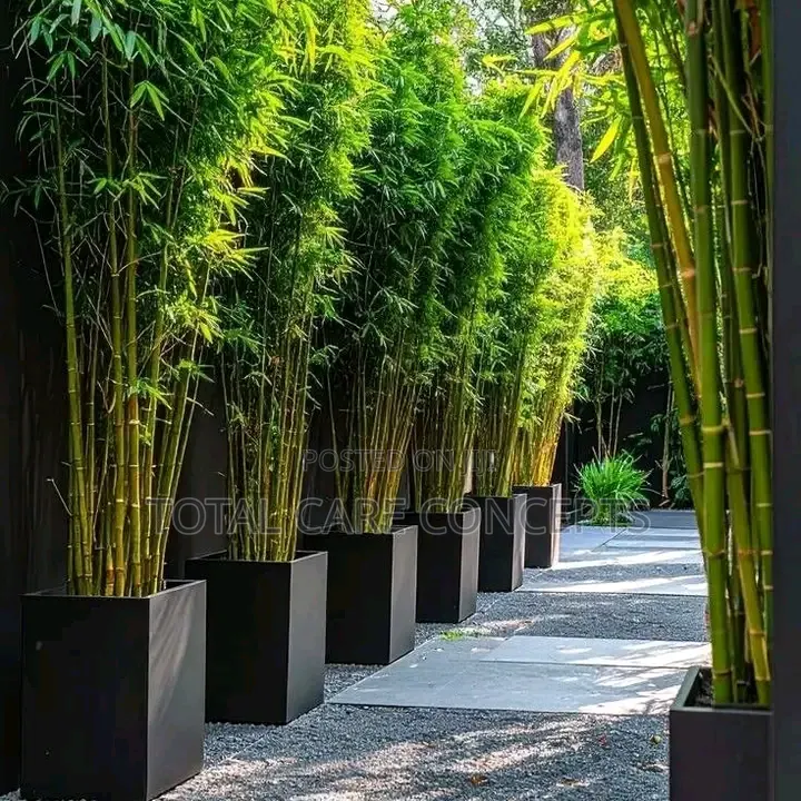Modern Artificial Flowers Pots With Plants