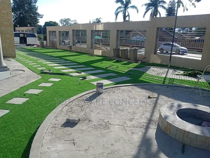 Green Turf Carpet for Modern Compound Indoor and Outdoor