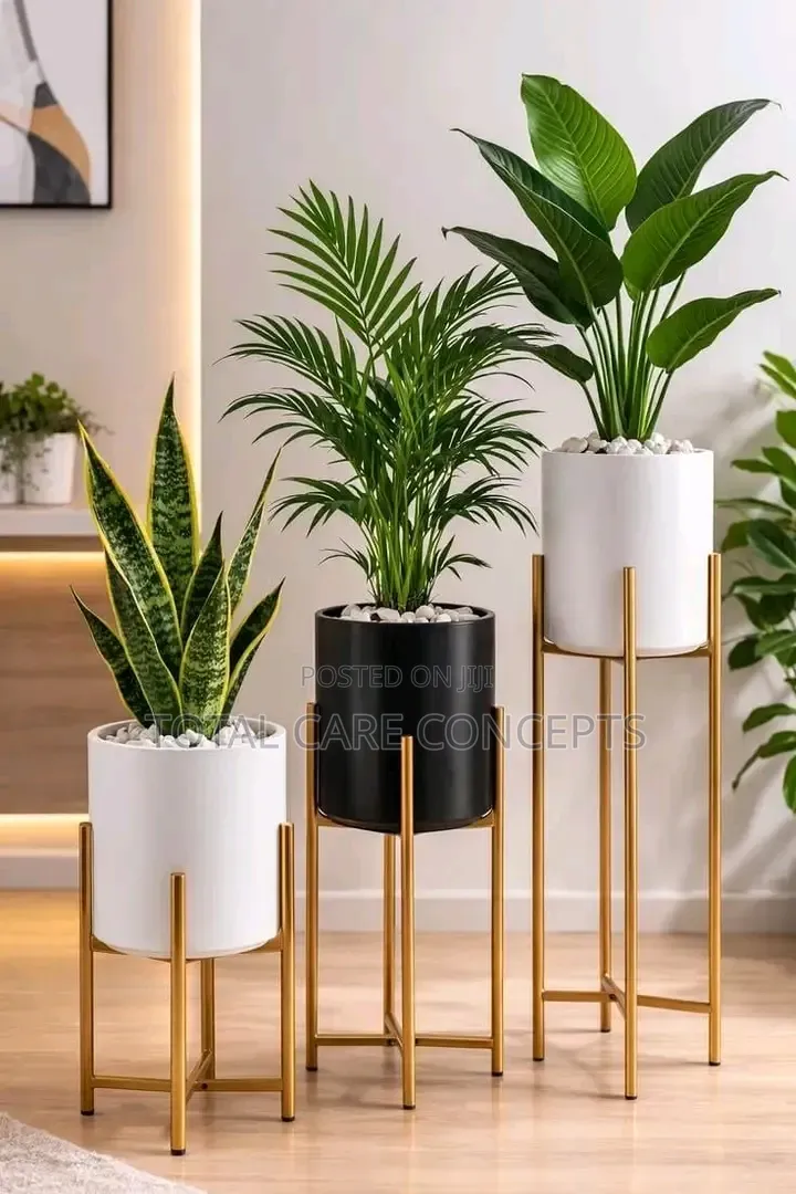 Classic Modern Indoor and Outdoor Flower Pots