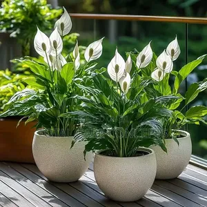 Classic Modern Indoor and Outdoor Flower Pots
