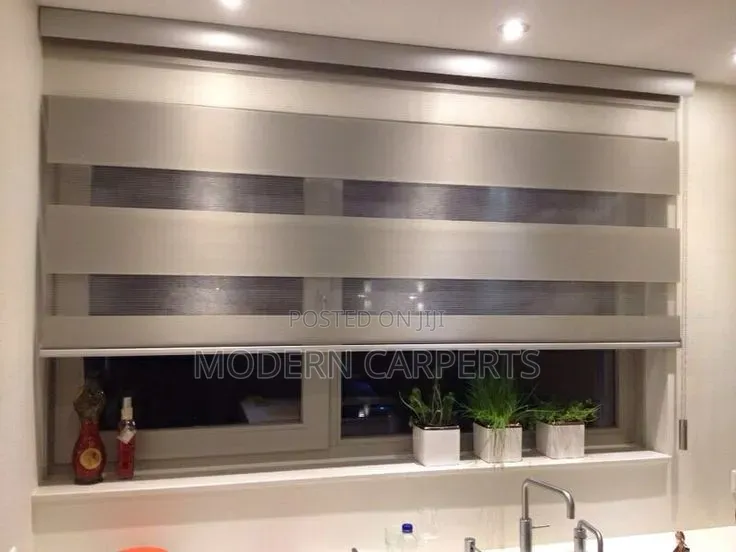 Paris Executive Zebra Blinds