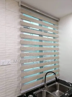 Paris Executive Zebra Blinds