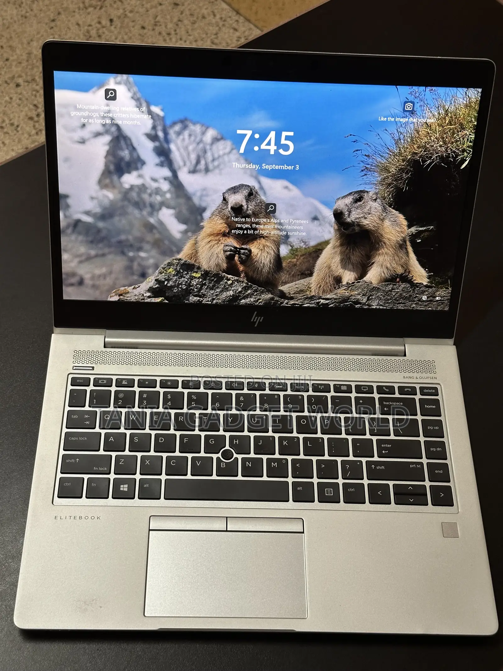 Laptop HP EliteBook 745 G6 8GB AMD Ryzen 5 SSD 256GB
