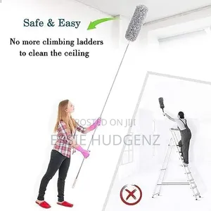 Cleaning Feather Duster