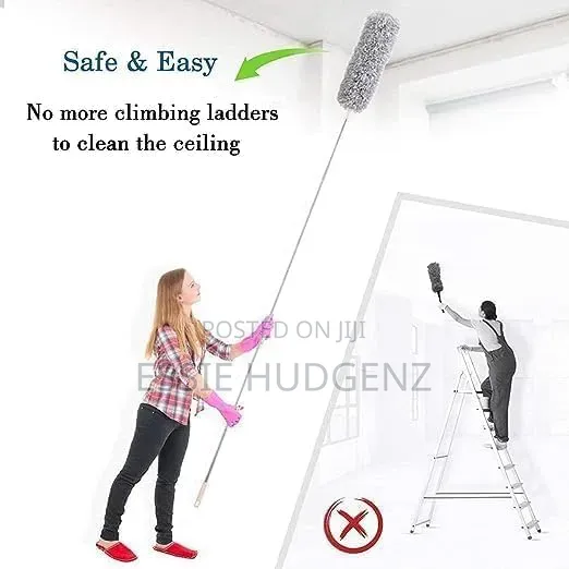 Cleaning Feather Duster