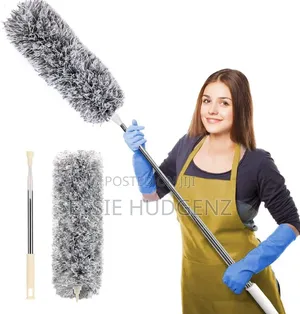 Cleaning Feather Duster