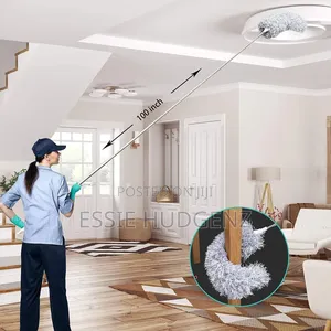 Cleaning Feather Duster