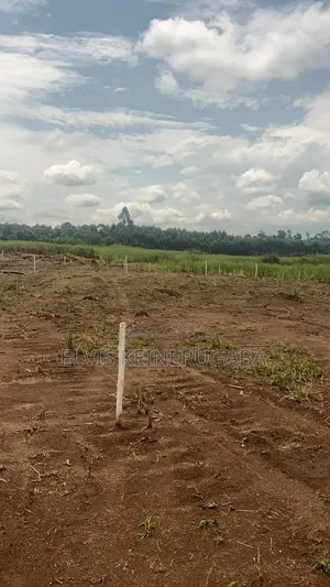 50 by 100 at 2m in Kayunga Kitwe