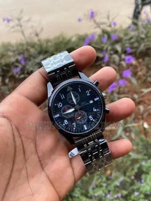 IWC Schaffhausen Metallic Watch