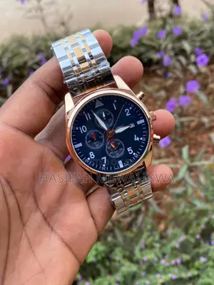IWC Schaffhausen Metallic Watch