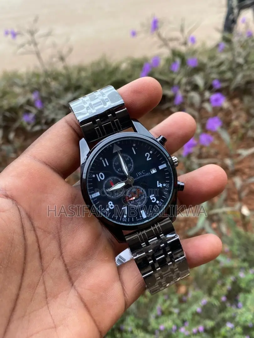 IWC Schaffhausen Metallic Watch