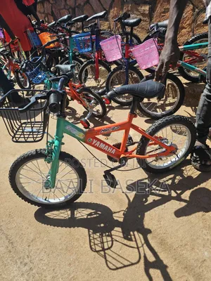 Realest Kids Bike/Used