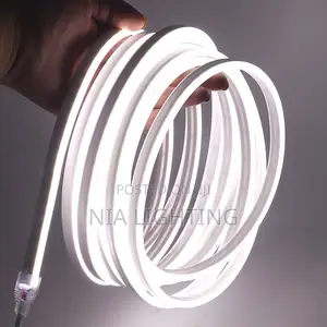 Neon Strip Ligh
