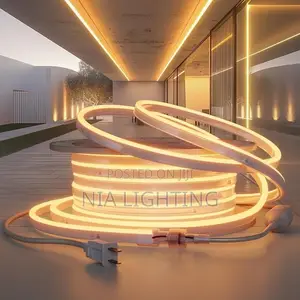 Neon Strip Ligh