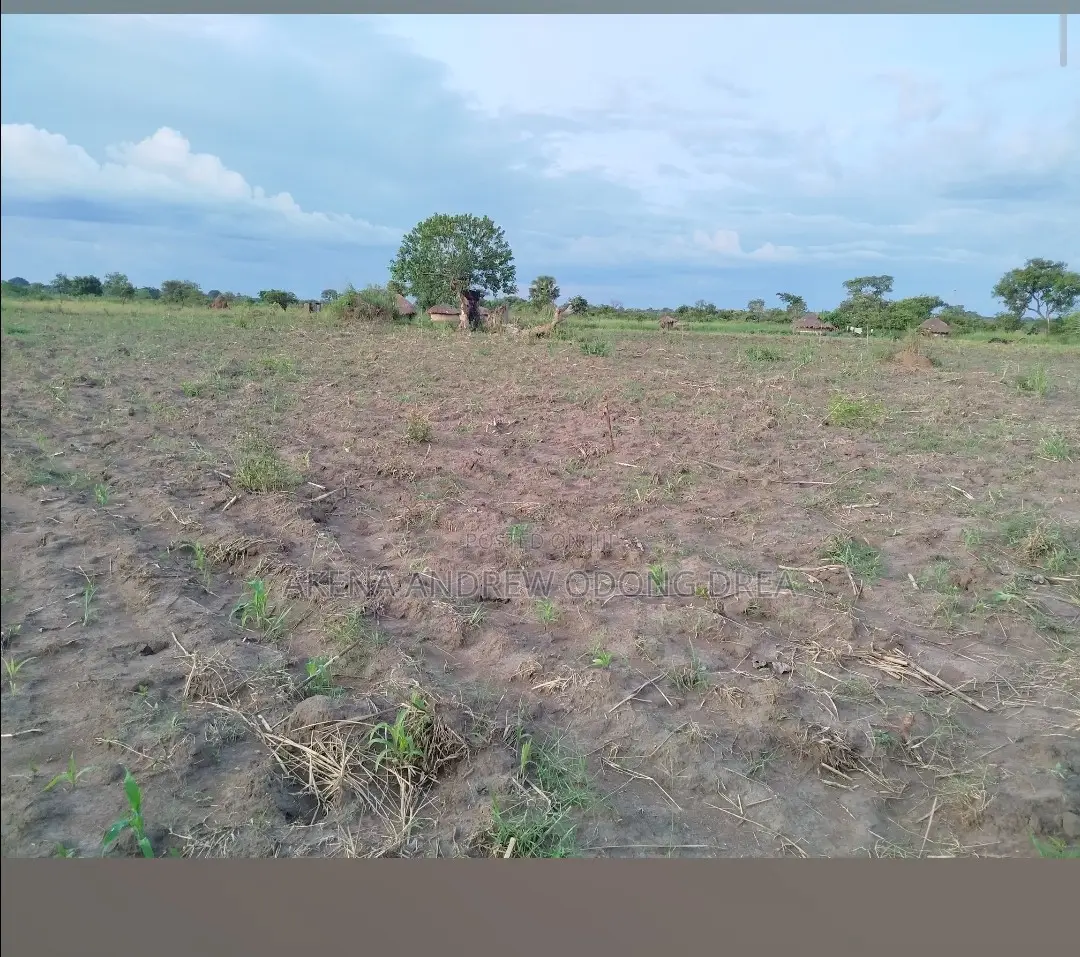 1 Acre Land