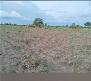 1 Acre Land