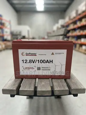 GoPower 12.8V 100Ah LiFePO4 Lithium Solar Battery - Long Lifespan